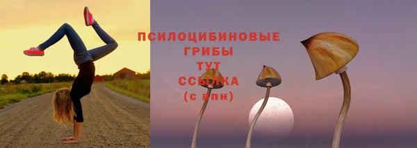 стафф Надым