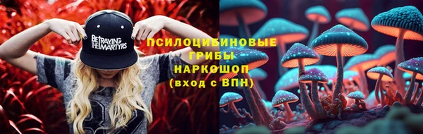 стафф Надым