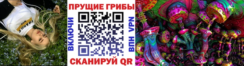 Галлюциногенные грибы Psilocybine cubensis  Купить  Малая Вишера 